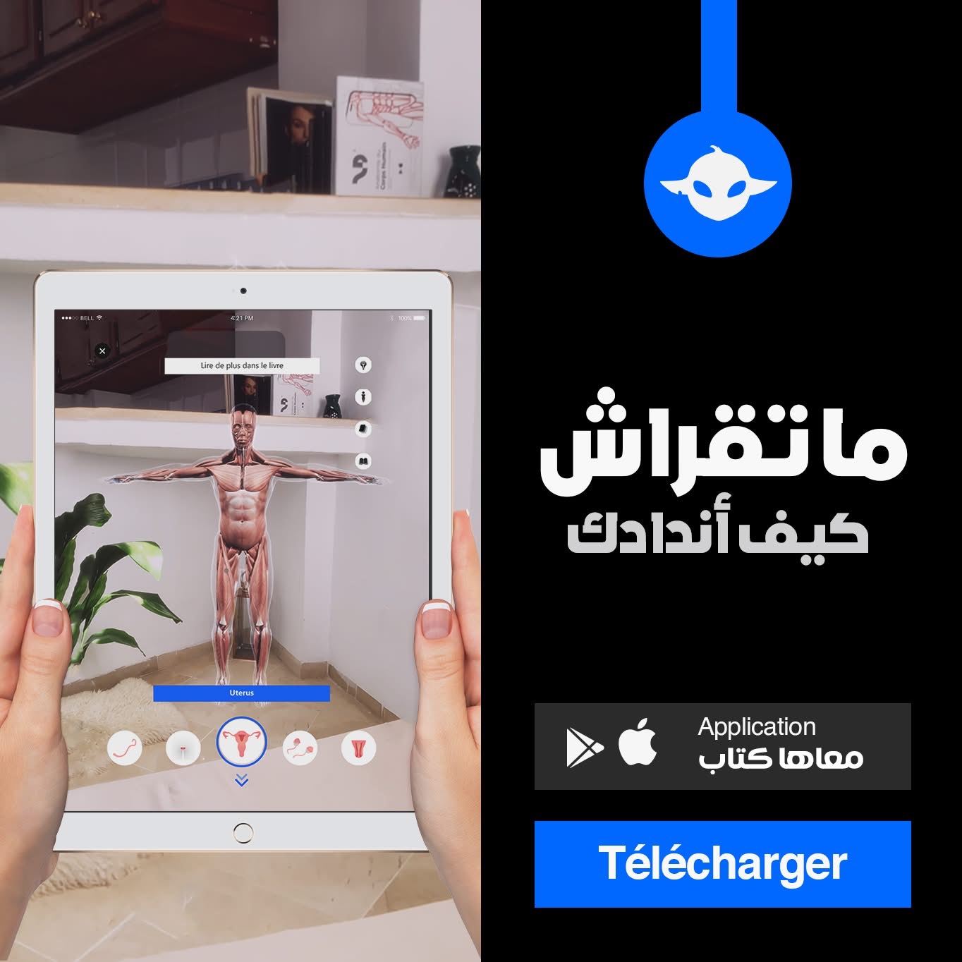 Alien Dimension in classrooms