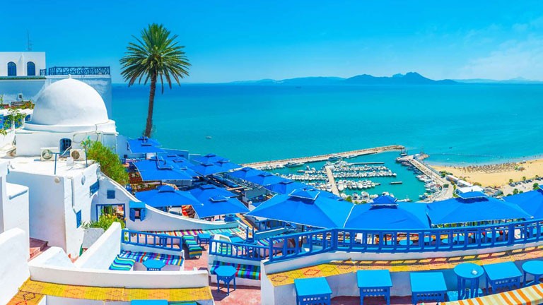 Zuckerberg Bezos Tunisian cover