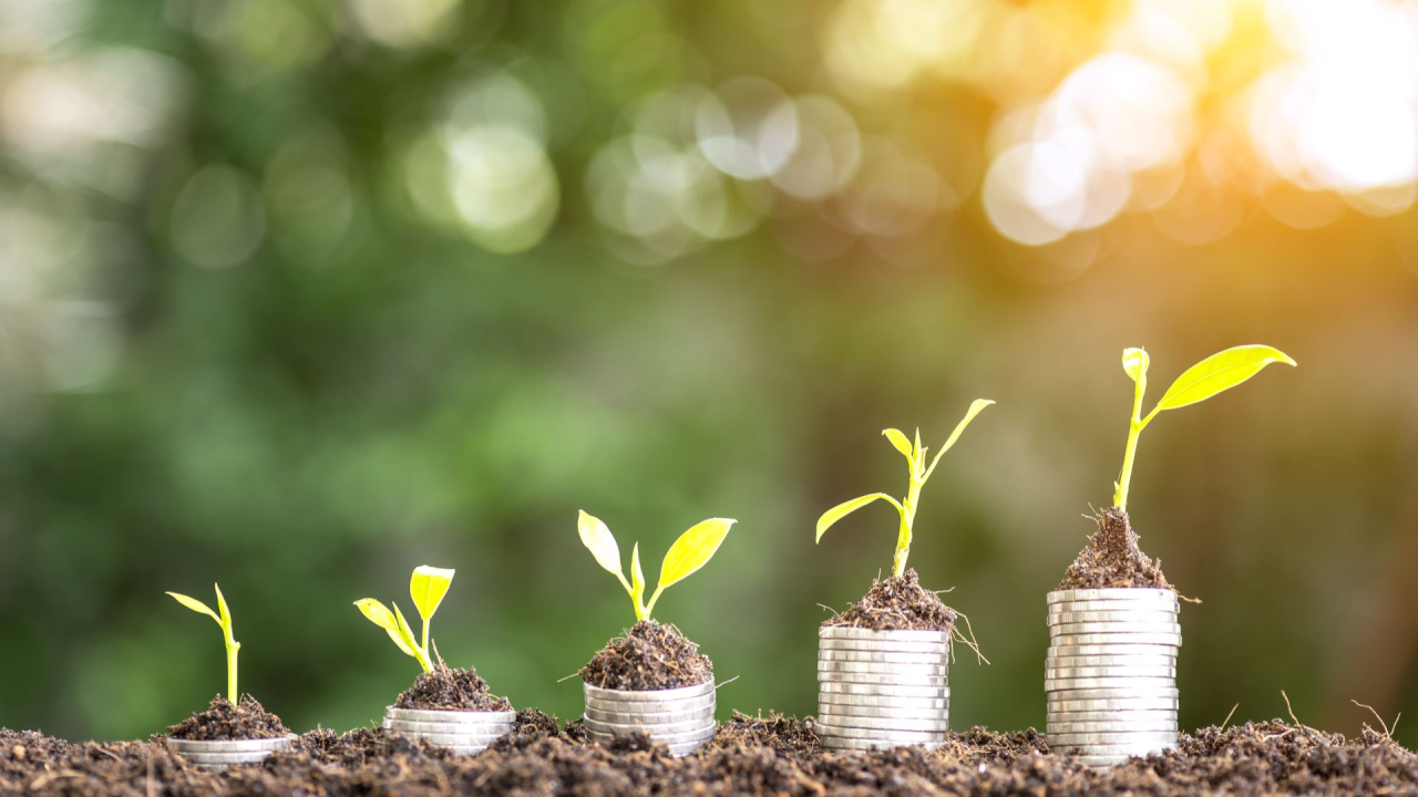 Entrepreneurial strategy cover